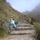 Inca Trail Availability Online – Inca Trail Permits