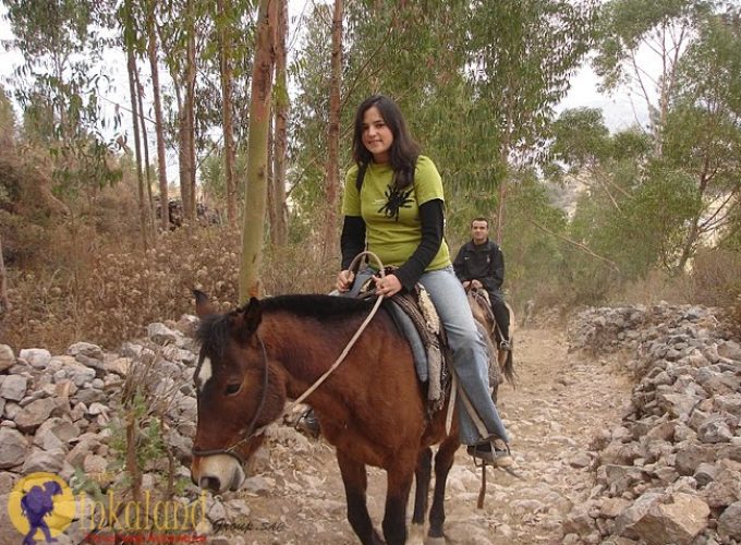 Tour Four Ruins with Horseback Riding Cusco Half Day