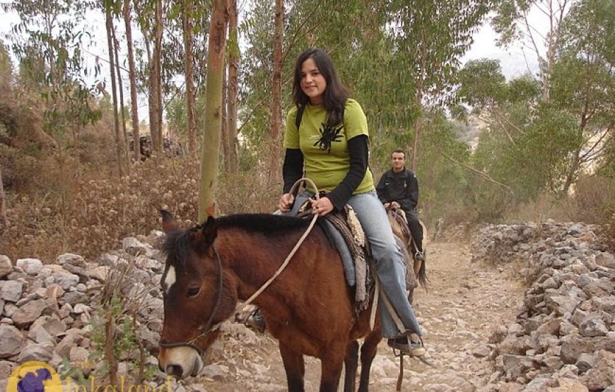 Tour Four Ruins with Horseback Riding Cusco Half Day